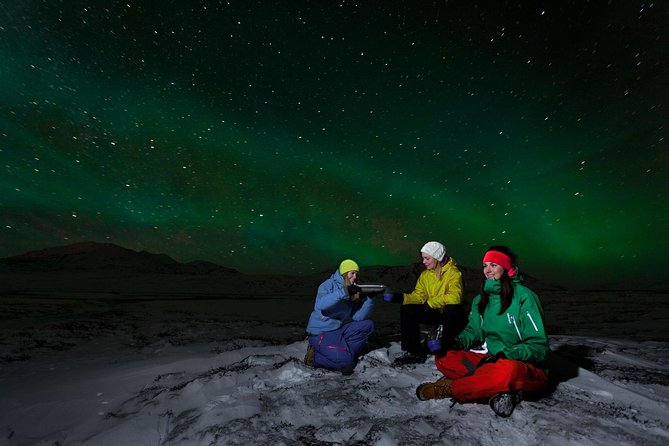 South Coast, Glacier Hike & Northern Lights from Reykjavik - Seljalandsfoss: Spray, Photo Spots, and a Winter Reality Check