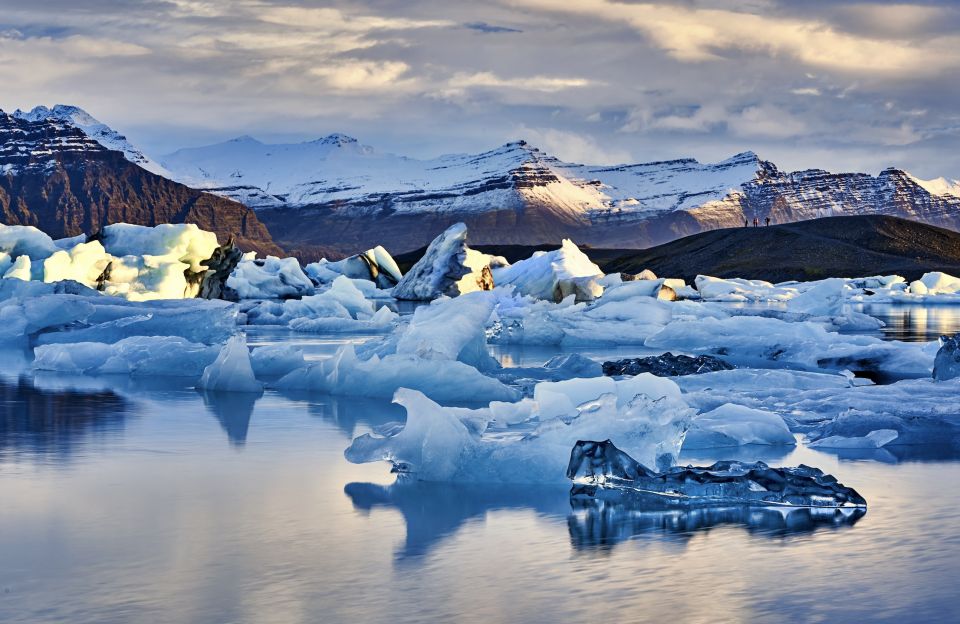 South Coast Iceland: 2-Day Blue Ice Cave & Jokulsarlon Tour - Black sand beach: the wildlife stop that people remember later