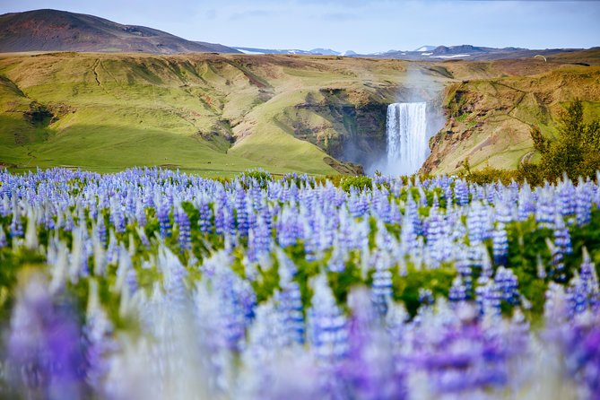 South Coast Iceland from Reykjavik with Guide & Touchscreen Audio - Food, Photos, and Safety Tips You’ll Use Immediately