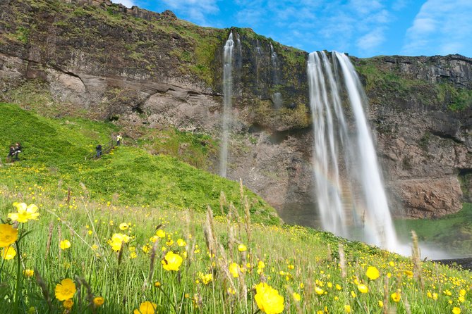 South Coast Sagas: Small Group Tour with Pick-up from Reykjavik - Why the guide makes (or breaks) this kind of day