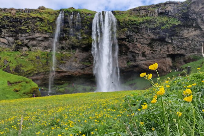 South Iceland, Glacier and Black Sand Beach Small Group Tour - Pickup, group size, and why being ready matters