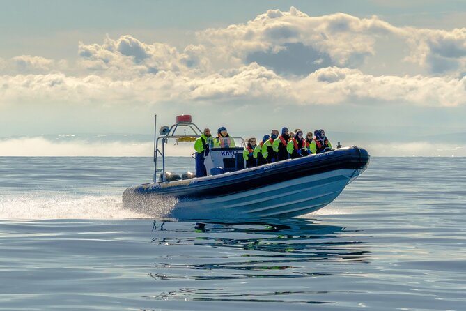 Speedboat Whale Watching Small-Group Tour in Reykjavik - Where you meet and how to plan your timing