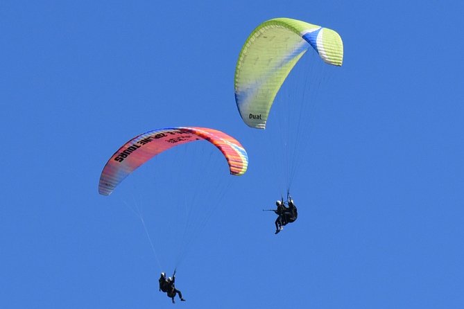 Tandem Paragliding Flights from Vik - The best kind of keepsake: photos and video you can actually use