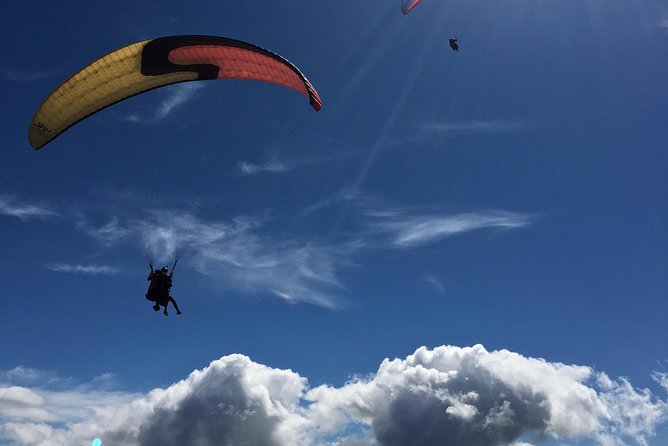 Tandem Paragliding over the Rugged Lava Fields at Blue Mountains - Price and Value: Is $254.22 Worth It?