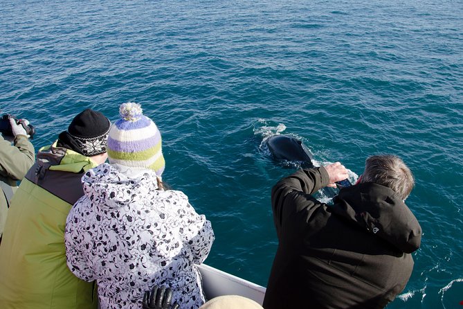 The Original Classic Whale Watching from Reykjavik - Onboard Comfort in Iceland: Overalls, Cold Wind, and Deck Time