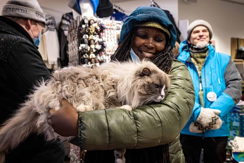 The Private Reykjavik CatWalk - The Kattakaffihúsið break: coffee, hot cocoa, and cat time