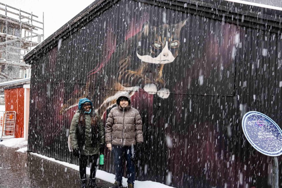The Private Reykjavik CatWalk - The city-circling hour: look for cat celebrities and stories