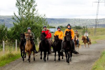 The Siggi Tour from Reykjavík: 1.5 to 2-Hour Ride - Key highlights you’ll feel on the ride