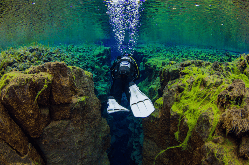 Thingvellir: Silfra Fissure Diving with Optional Pickup - Getting your bearings in Þingvellir: meeting point, parking, and vans