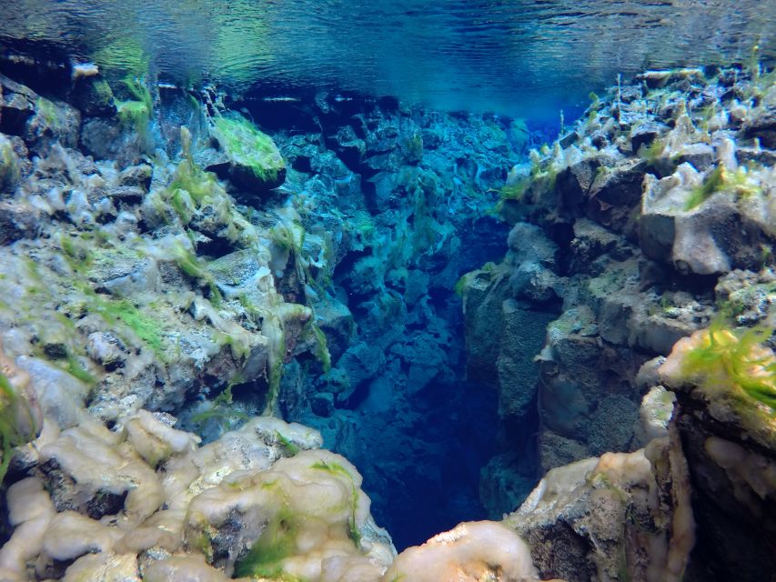 Thingvellir: Silfra Freedive Adevnture with a Guide - Who This Guided Silfra Session Is Best For (and Who Should Skip It)