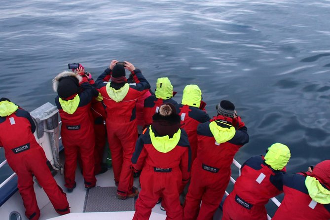 Two-In-One: Whale & Puffin Watching Tours from Reykjavik - The Middle Break in Old Harbour: Use It Like a Pro