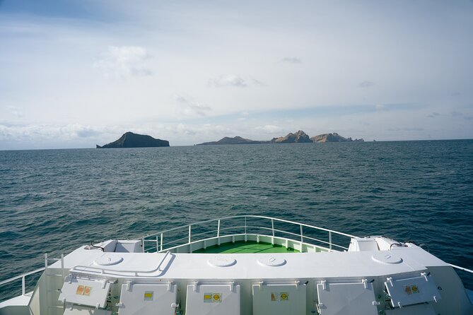 Vestmannaeyjar, Puffins & Volcanoes Small Group Day Tour - Eldheimar Museum: The 1973 Eruption Put Into Human Scale