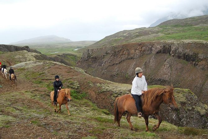Viking Horse Riding and Golden Circle Tour from Reykjavik - Gullfoss waterfall: the two-tier roar, mist, and rainbow odds