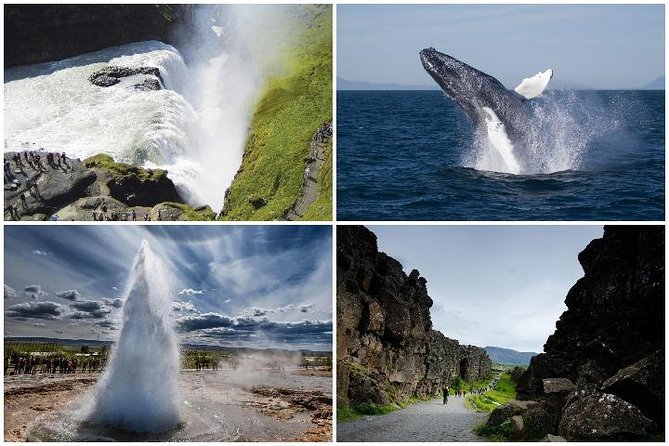 Whale Watching and Golden Circle Tour from Reykjavik - Þingvellir National Park: the rift, the fissures, and Alþingi