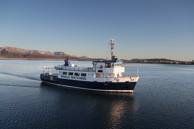 Whale Watching and Marine Life Tour in Reykjavik - Why Whale Watching From Reykjavik Feels Special