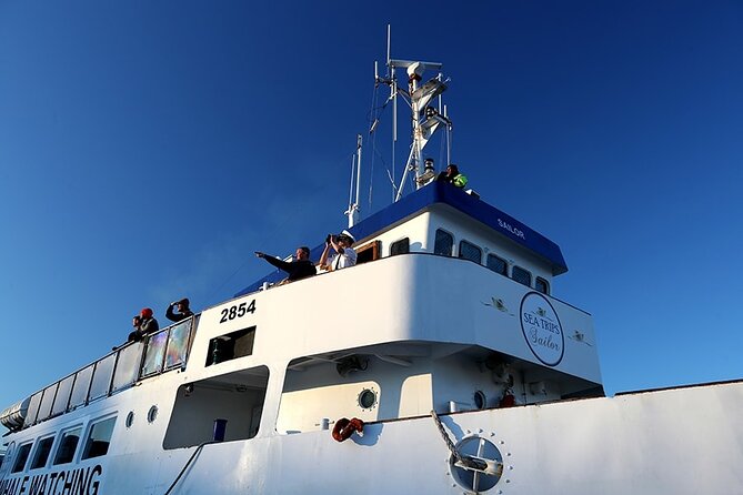 Whale Watching and Marine Life Tour in Reykjavik - The Trade-Off: Close Encounters vs. Search Time