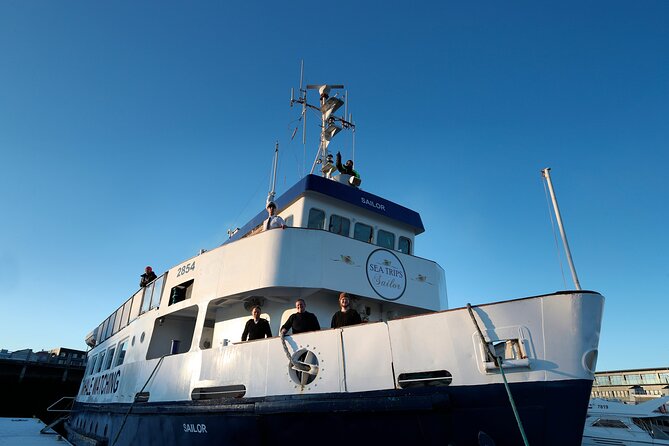 Whale Watching and Marine Life Tour in Reykjavik - Price and What You Get for About $98
