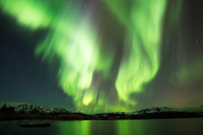 Whale Watching and Northern Lights Half-Day Combo Tour - The northern lights session: how you’ll hunt, wait, and stay warm