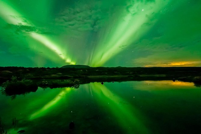 Whale Watching and Northern Lights Half-Day Combo Tour - What’s included (and what costs extra)