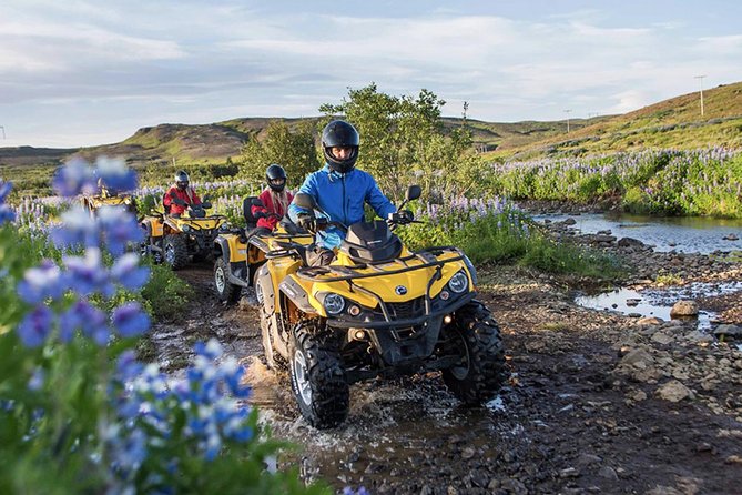 Whale Watching & ATV Adventure from Reykjavik - Price and value: what you’re really paying for ($329.74)