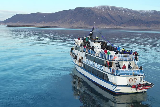 Whale-Watching Boat Tour with Expert Guide from Reykjavik - Old Harbor to Faxaflói Bay: Comfort That Helps You Stay Focused