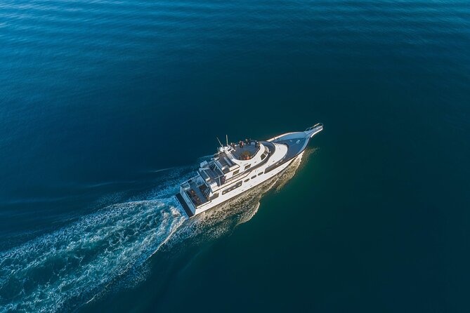 Whale Watching Cruise on a Yacht in Reykjavik - Faxaflói Bay Search Route: where the wildlife watching happens