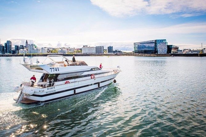 Whale Watching & Dolphin Yacht Cruise - Key things to know before you go