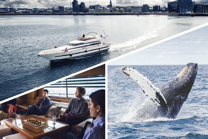 Whale Watching & Dolphin Yacht Cruise - Getting to the Old Harbour House and boarding your yacht