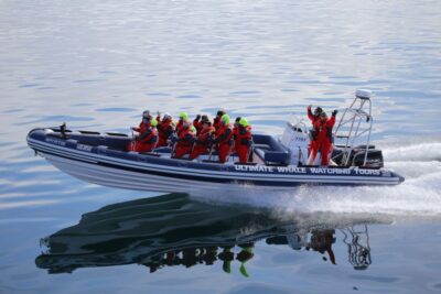 Whale Watching in Reykjavik by Speedboat - Meeting at Reykjavik Old Harbour and getting geared up fast