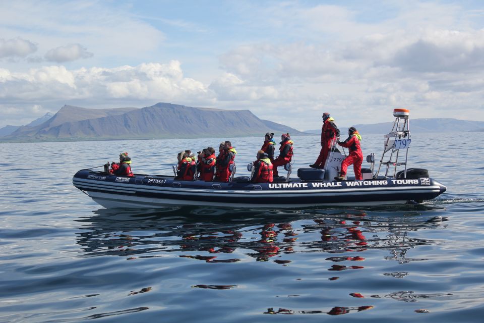 Whale Watching in Reykjavik by Speedboat - The shoreline highlights: Sun Voyager and Harpa from the water