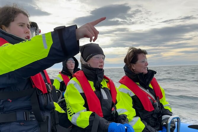 Whale Watching - RIB Boat Adventure in Kopavogur, Iceland - Getting on the Water Fast: Kópavogur Launch and the RIB Feel