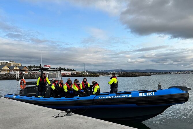 Whale Watching - RIB Boat Adventure in Kopavogur, Iceland - The Boat: BLIKI, 440 hp Volvo Penta Engines, and Seat Comfort