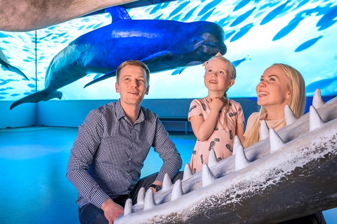 Whales Of Iceland Admission Ticket - The Fin Whale Theatre: Why the Included Documentaries Matter