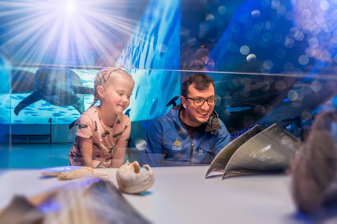 Whales Of Iceland Admission Ticket - Audio Guide in 17 Languages: Self-Paced, With Less Guesswork