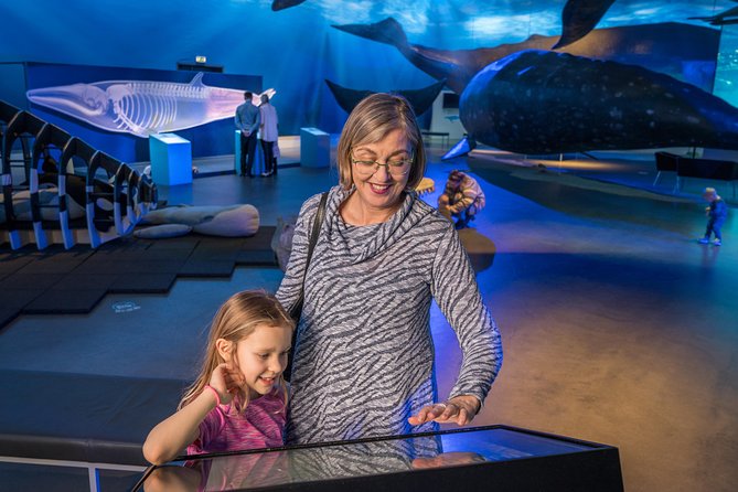 Whales Of Iceland Admission Ticket - Interactive Details Kids (and Adults) End Up Using