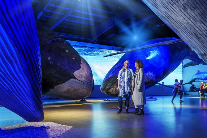 Whales of Iceland from Land and Sea - Price and value: is $120.15 per person worth it