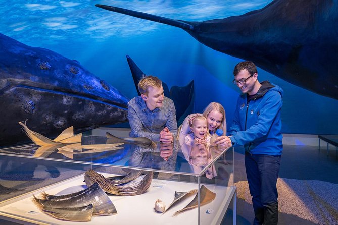 Whales of Iceland from Land and Sea - Faxaflói Bay wildlife: minke, humpbacks, dolphins, and how to set expectations