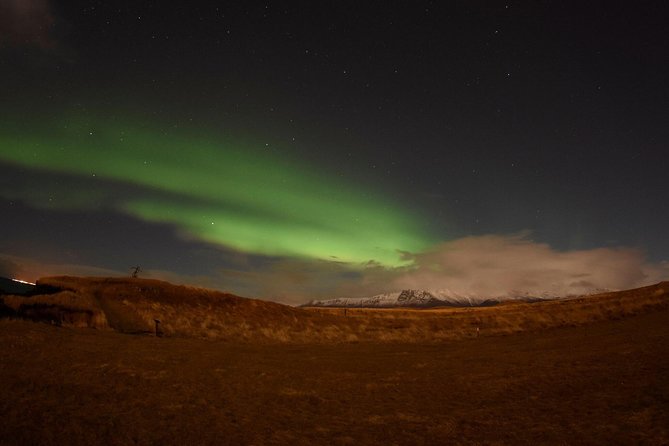 Winter Whale Watching and Northern Lights Cruise from Reykjavik - Elding whale watching: your 3-hour afternoon on the water
